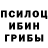 Галлюциногенные грибы прущие грибы BadBoy Eear