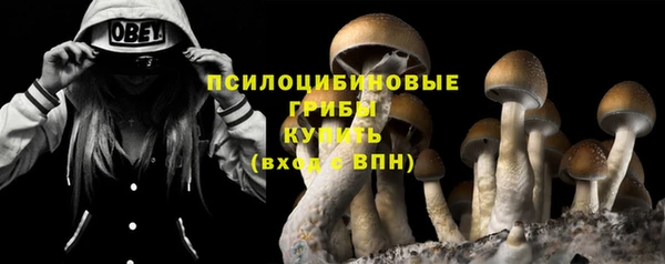 мет Новозыбков