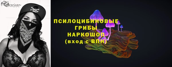 мет Новозыбков