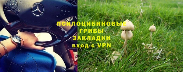 кокс Няндома