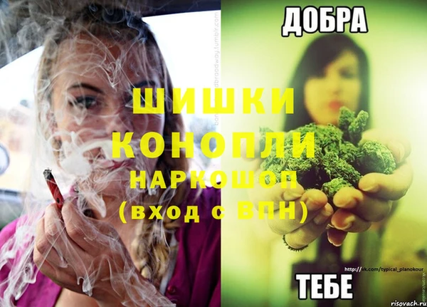 мет Новозыбков