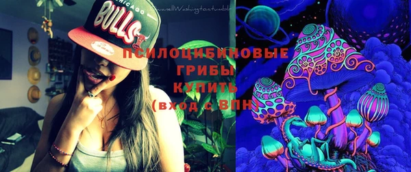 мет Новозыбков