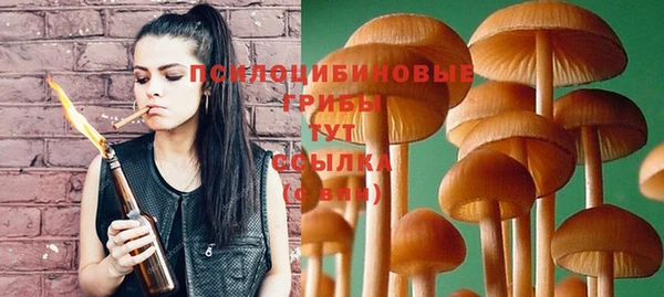 прущая мука Новодвинск